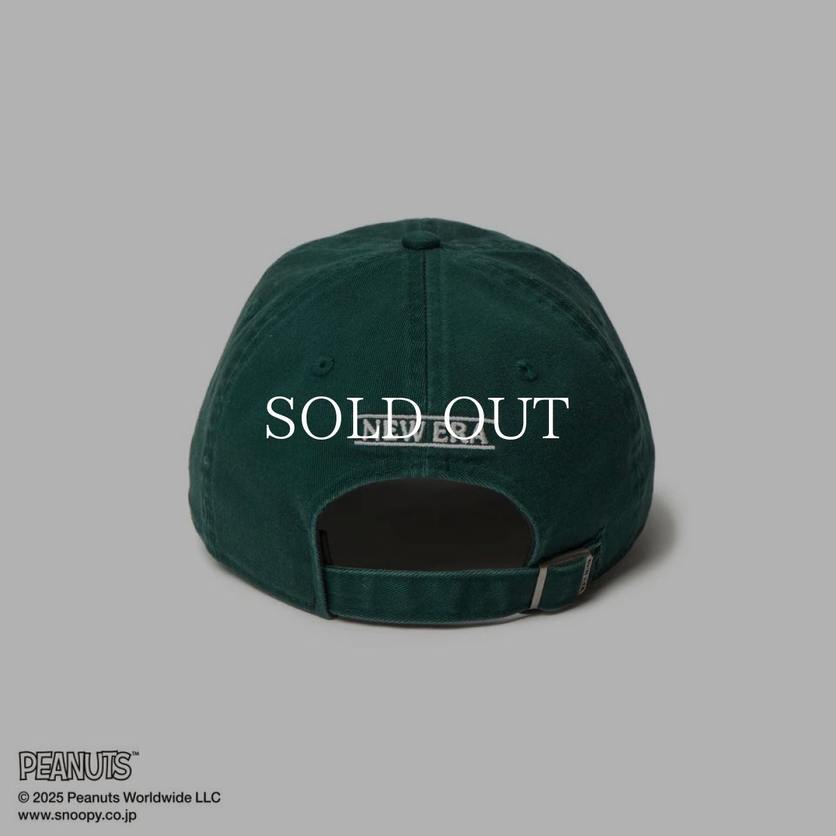 画像5: NEW ERA  9TWENTY PEANUTS ピーナッツ スヌーピー ウッドストック フェルトパッチ ダークグリーン (5)