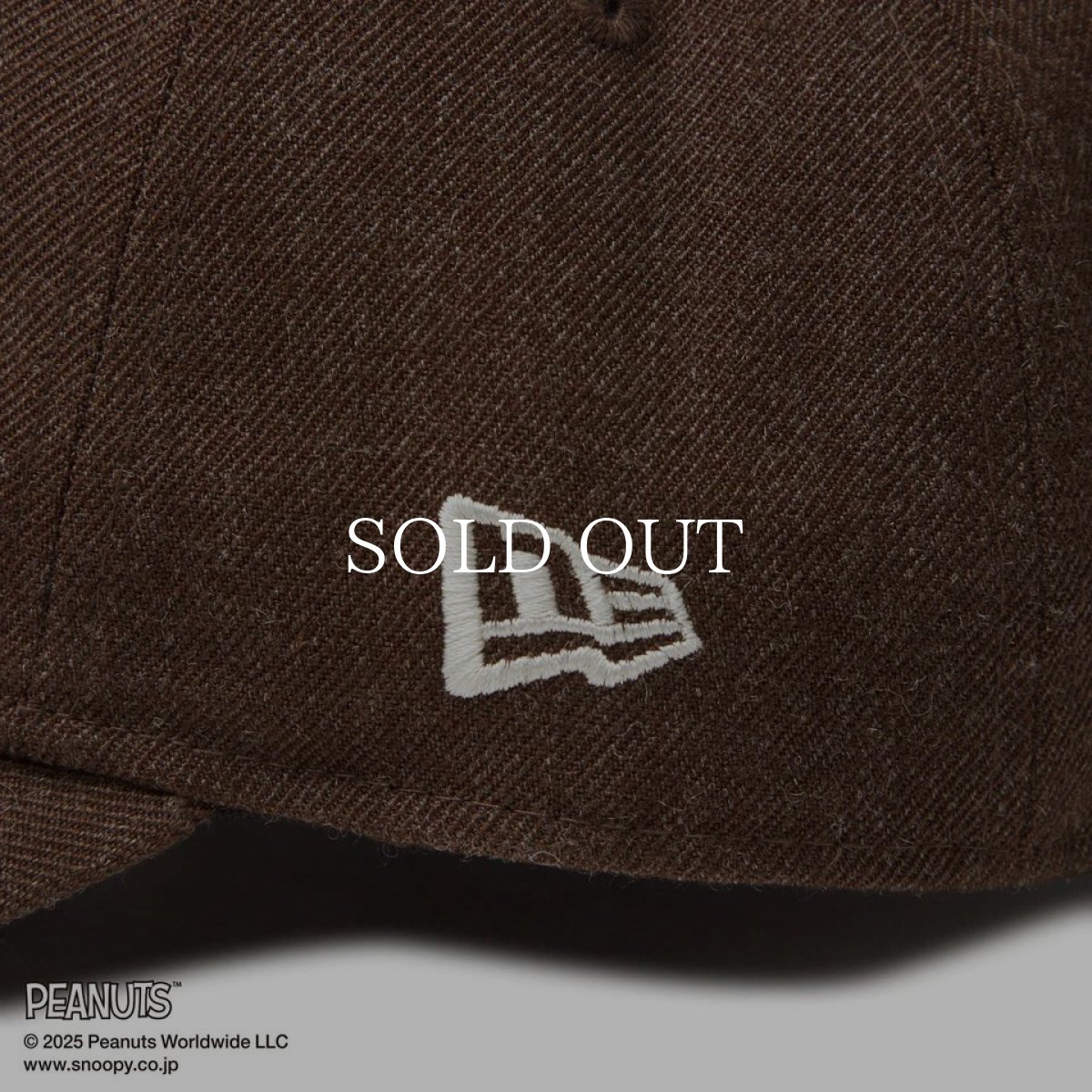 画像6: NEW ERA  9THIRTY PEANUTS ピーナッツ スヌーピー ヘザーウォルナット (6)