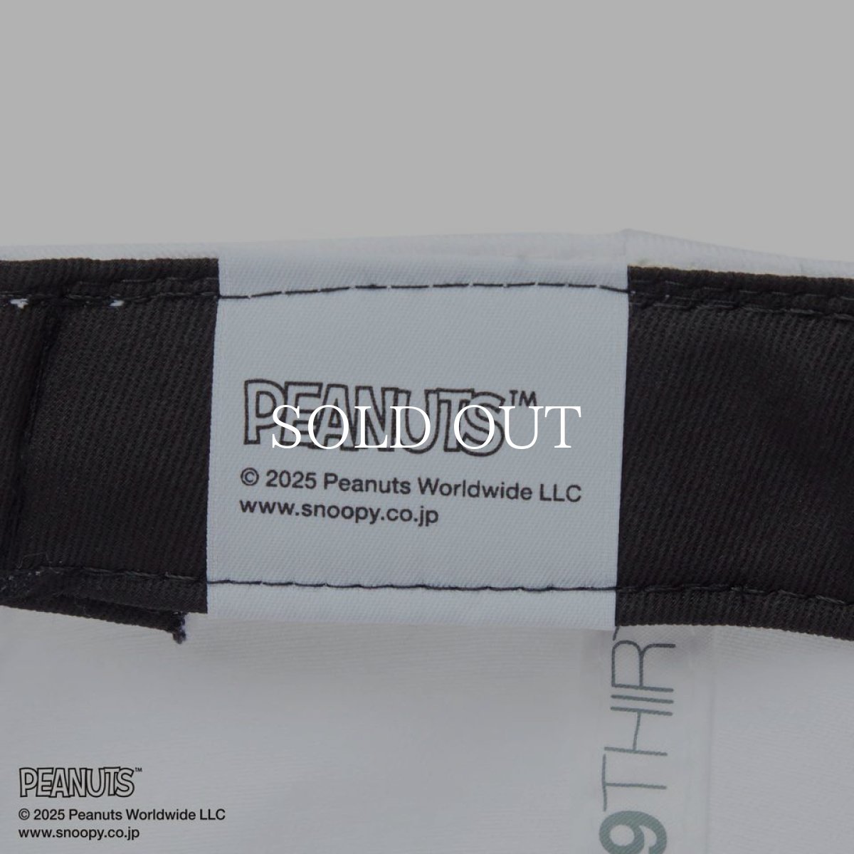 画像9: NEW ERA  9THIRTY PEANUTS ピーナッツ サリー・ブラウン ホワイト/ピンク (9)