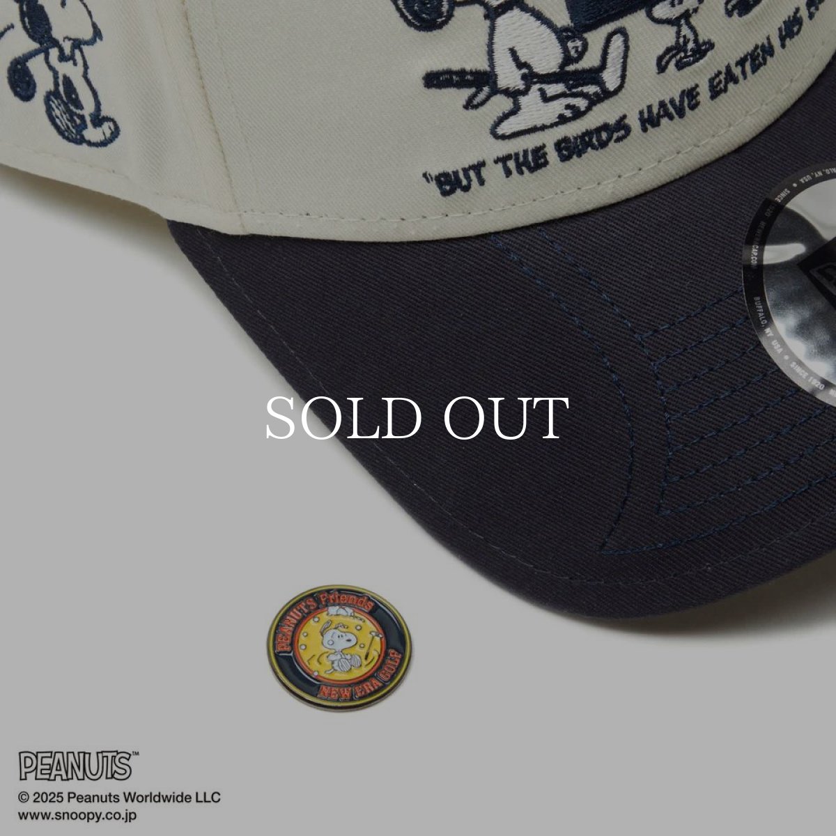画像9: NEW ERA  【ゴルフ】 9FORTY A-Frame On Par PEANUTS ピーナッツ ボックスロゴ クローム ネイビーバイザー (9)