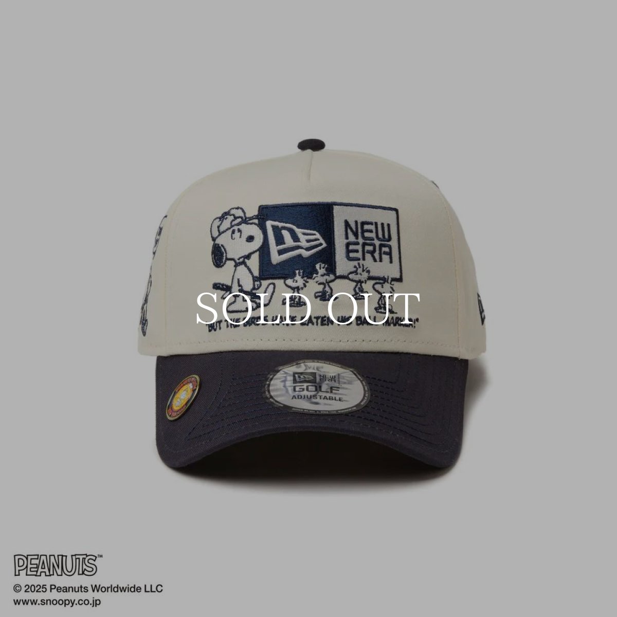 画像4: NEW ERA  【ゴルフ】 9FORTY A-Frame On Par PEANUTS ピーナッツ ボックスロゴ クローム ネイビーバイザー (4)