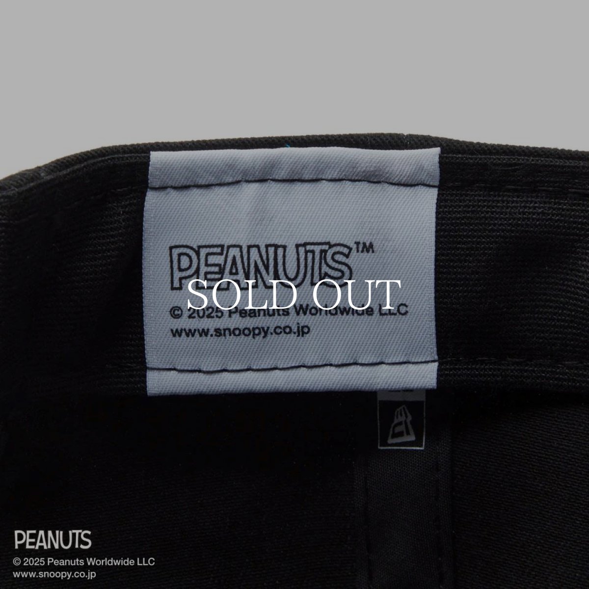 画像14: NEW ERA  【ゴルフ】 9FORTY A-Frame On Par PEANUTS ピーナッツ フロントパッチ ブラック (14)