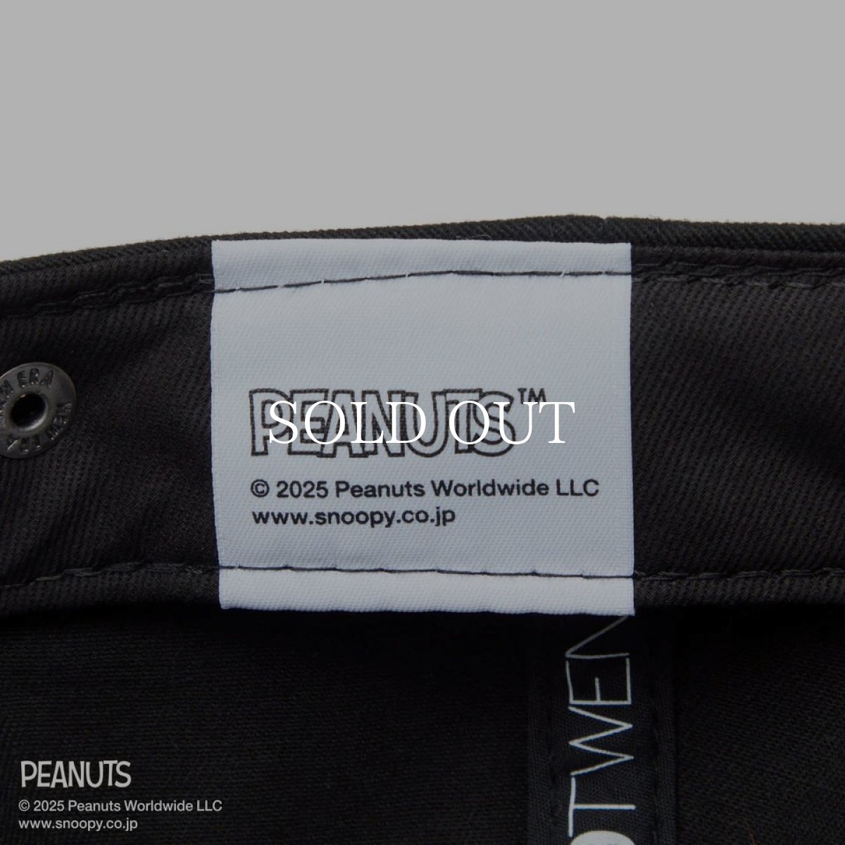 画像10: NEW ERA  9TWENTY PEANUTS ピーナッツ スヌーピー ウッドストック フェルトパッチ ブラック (10)