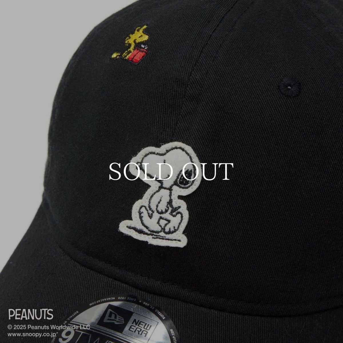 画像2: NEW ERA  9TWENTY PEANUTS ピーナッツ スヌーピー ウッドストック フェルトパッチ ブラック (2)
