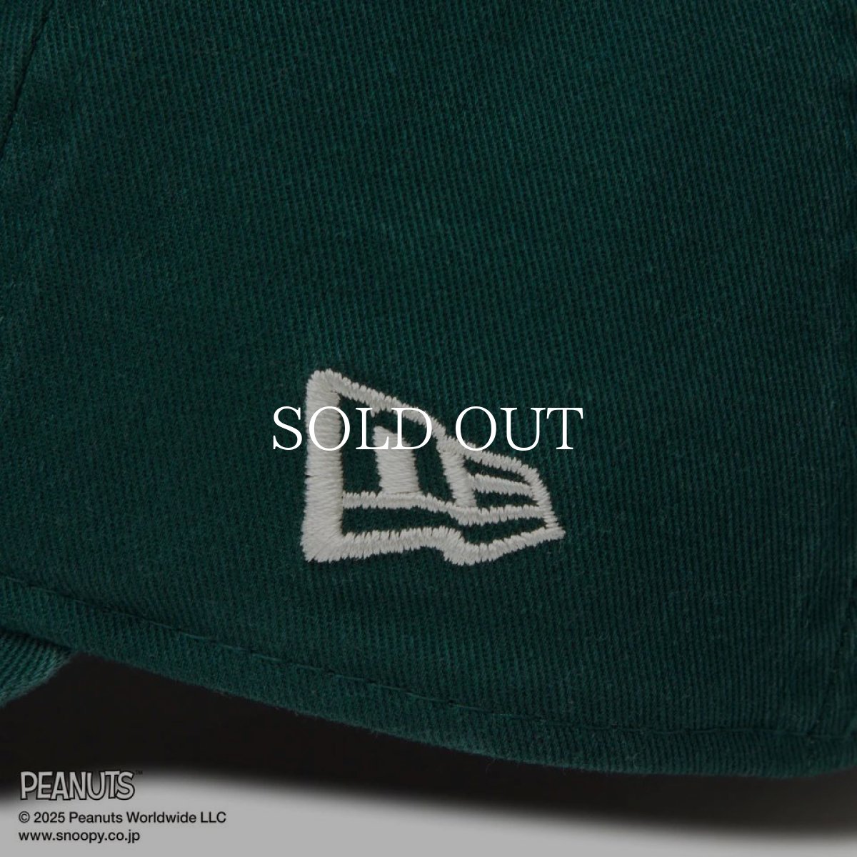 画像6: NEW ERA  9TWENTY PEANUTS ピーナッツ スヌーピー ウッドストック フェルトパッチ ダークグリーン (6)