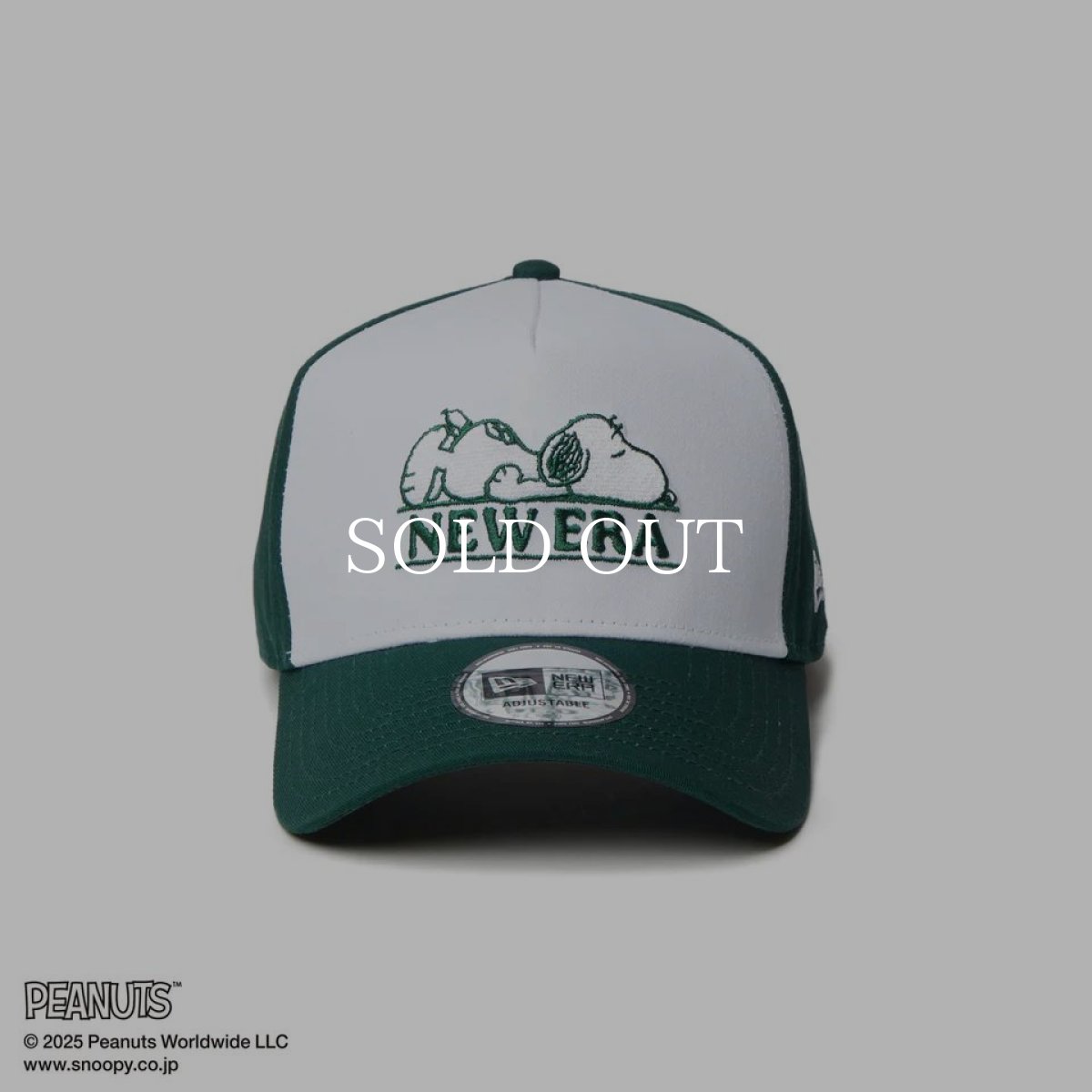 画像3: NEW ERA  9FORTY A-Frame PEANUTS ピーナッツ スヌーピー ホワイト/ダークグリーン (3)
