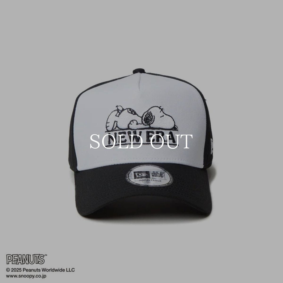 画像3: NEW ERA  9FORTY A-Frame PEANUTS ピーナッツ スヌーピー ホワイト/ブラック (3)