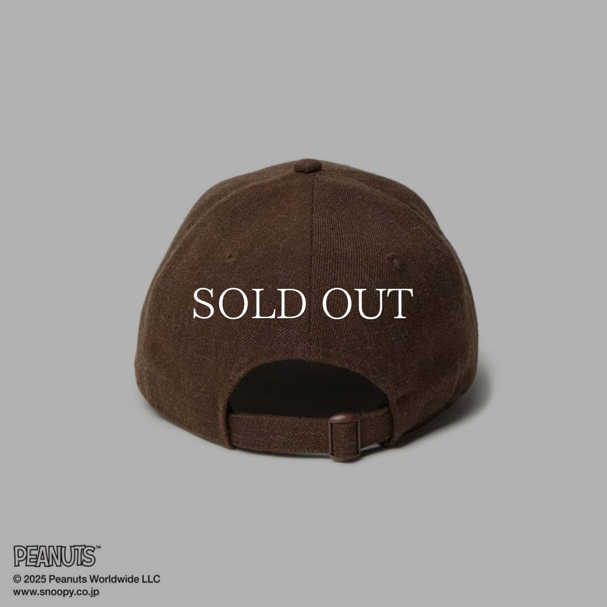 画像4: NEW ERA  9THIRTY PEANUTS ピーナッツ スヌーピー ヘザーウォルナット (4)