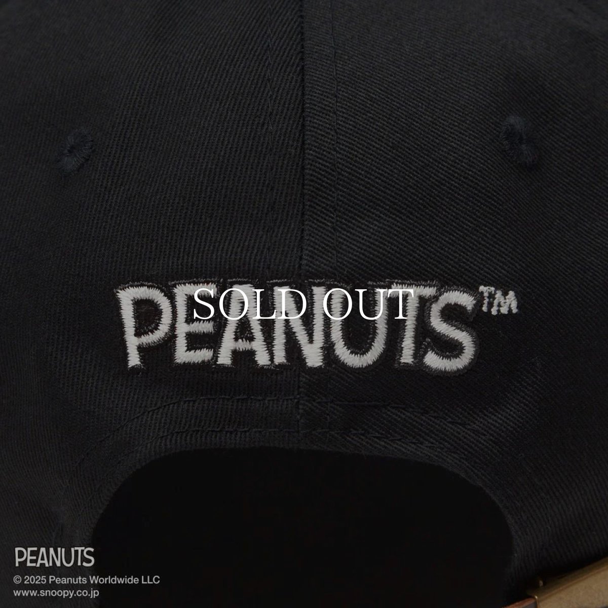 画像8: NEW ERA  RC 9FIFTY PEANUTS ピーナッツ スヌーピー ブラック (8)