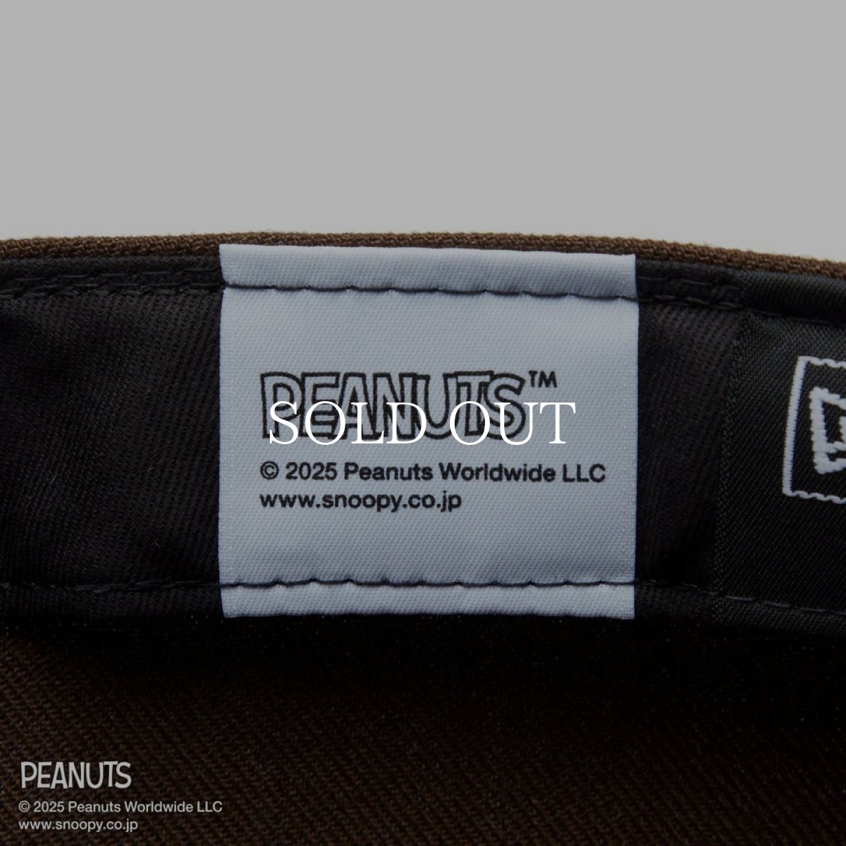 画像11: NEW ERA  59FIFTY PEANUTS ピーナッツ スヌーピー ウッドストック ピンズ ウォルナット (11)