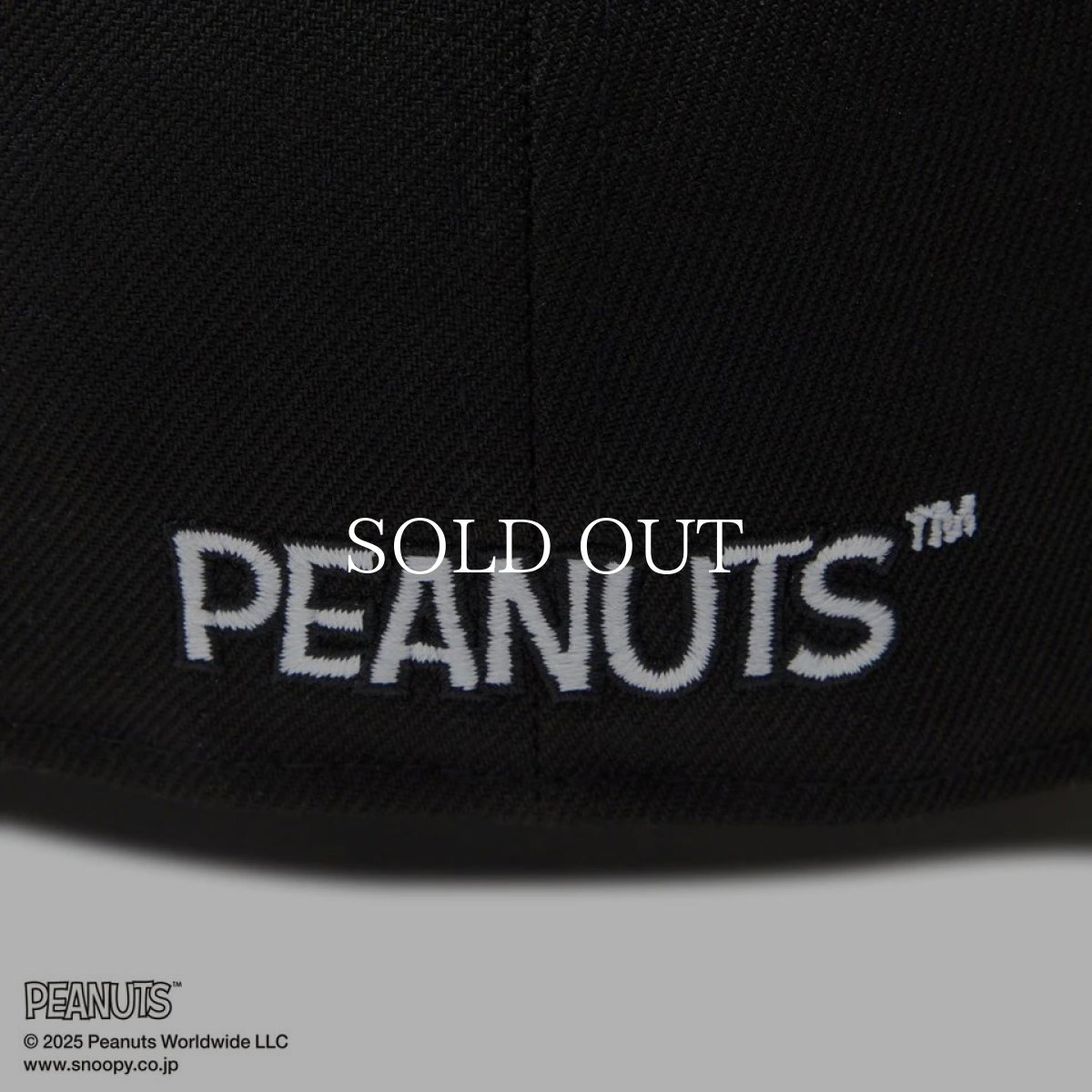 画像10: NEW ERA  59FIFTY PEANUTS ピーナッツ スヌーピー ウッドストック ピンズ ブラック (10)