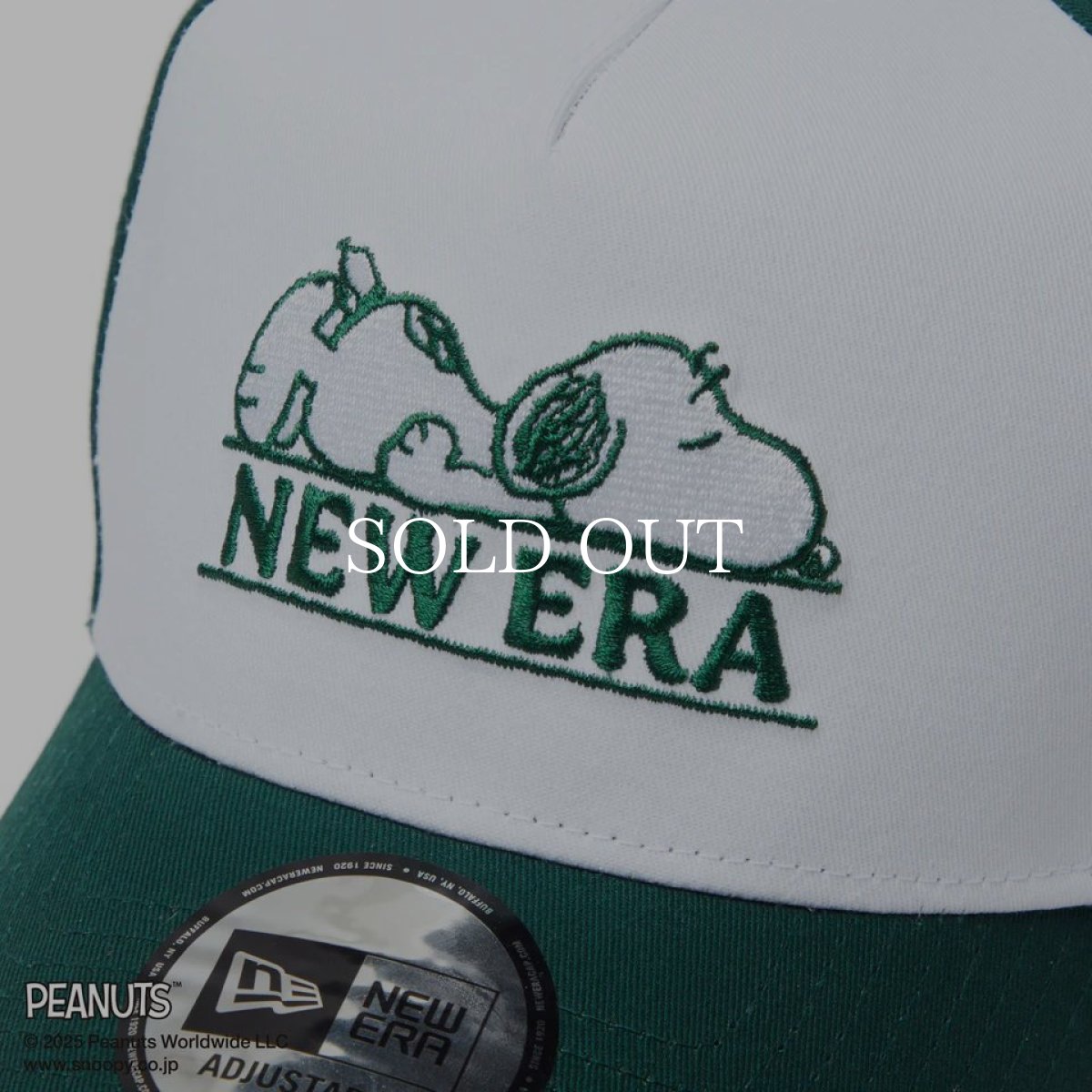 画像2: NEW ERA  9FORTY A-Frame PEANUTS ピーナッツ スヌーピー ホワイト/ダークグリーン (2)