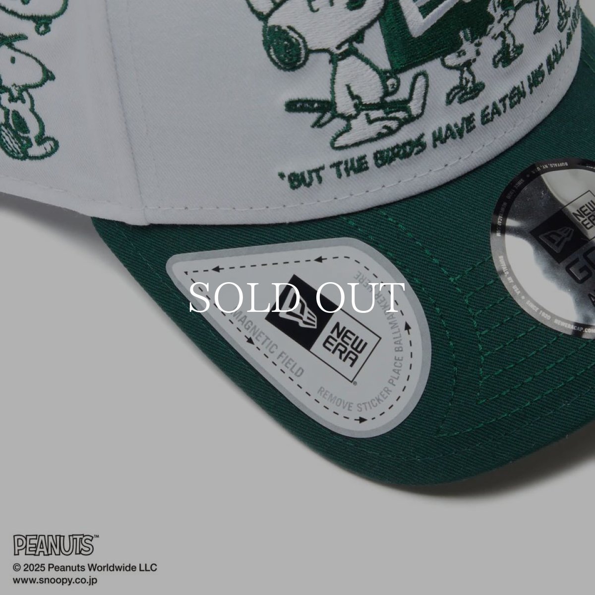 画像7: NEW ERA  【ゴルフ】 9FORTY A-Frame On Par PEANUTS ピーナッツ ボックスロゴ ホワイト ダークグリーンバイザー (7)