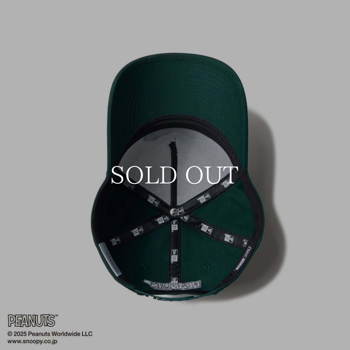 画像5: NEW ERA  9FORTY A-Frame PEANUTS ピーナッツ スヌーピー ホワイト/ダークグリーン (5)
