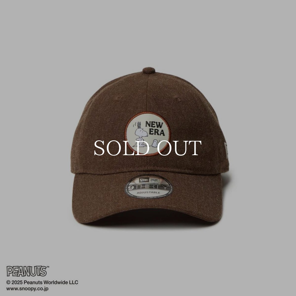 画像3: NEW ERA  9THIRTY PEANUTS ピーナッツ スヌーピー ヘザーウォルナット (3)