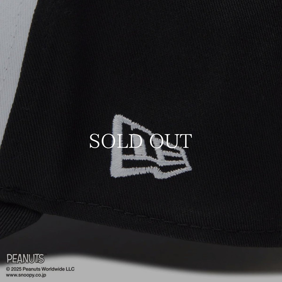 画像6: NEW ERA  9FORTY A-Frame PEANUTS ピーナッツ スヌーピー ホワイト/ブラック (6)