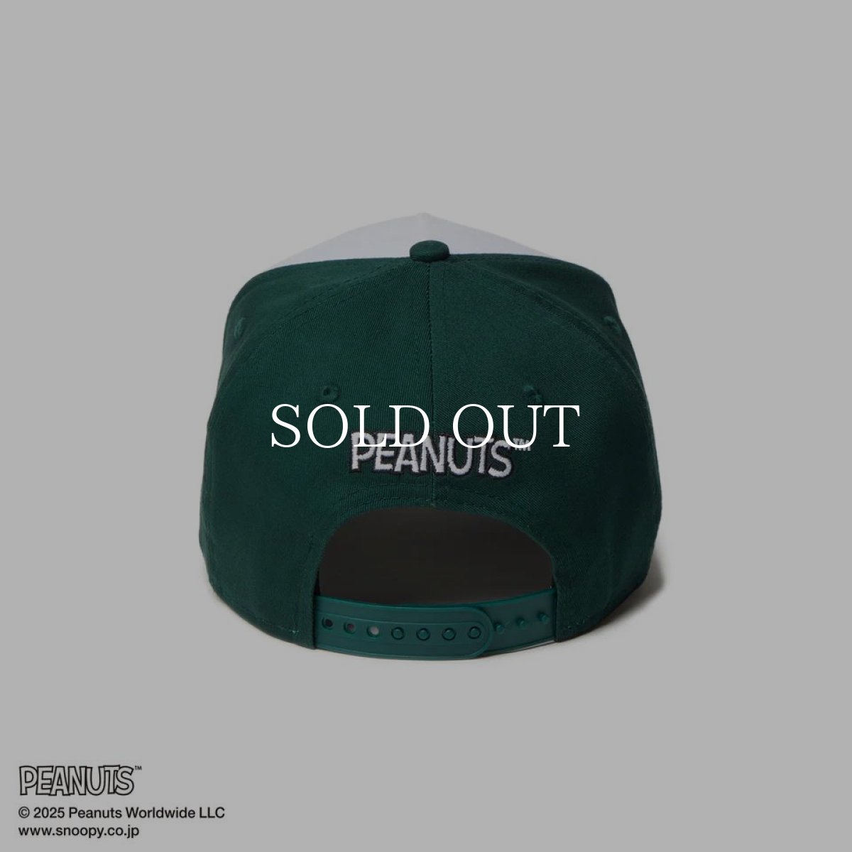 画像4: NEW ERA  9FORTY A-Frame PEANUTS ピーナッツ スヌーピー ホワイト/ダークグリーン (4)