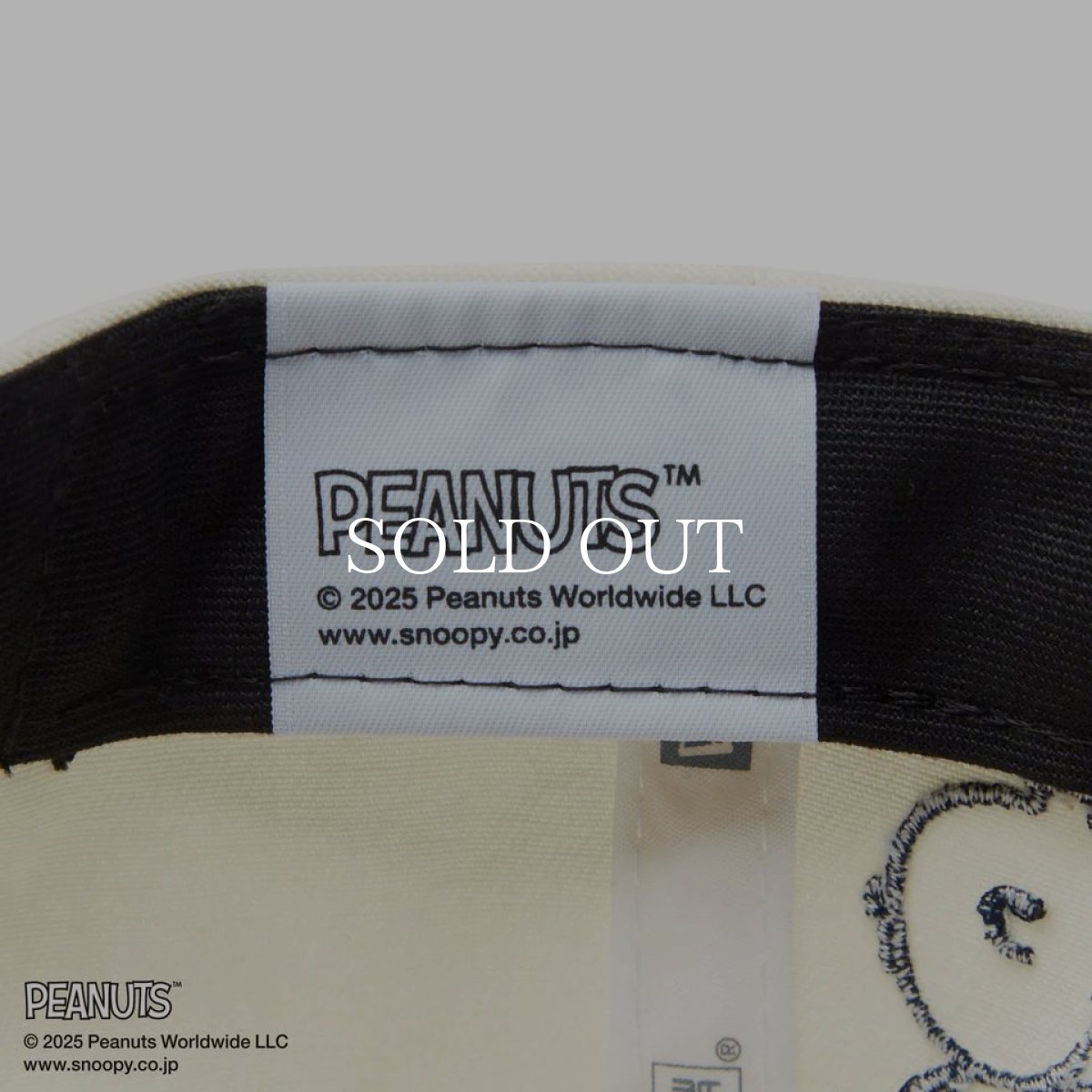 画像14: NEW ERA  【ゴルフ】 9FORTY A-Frame On Par PEANUTS ピーナッツ ボックスロゴ クローム ネイビーバイザー (14)