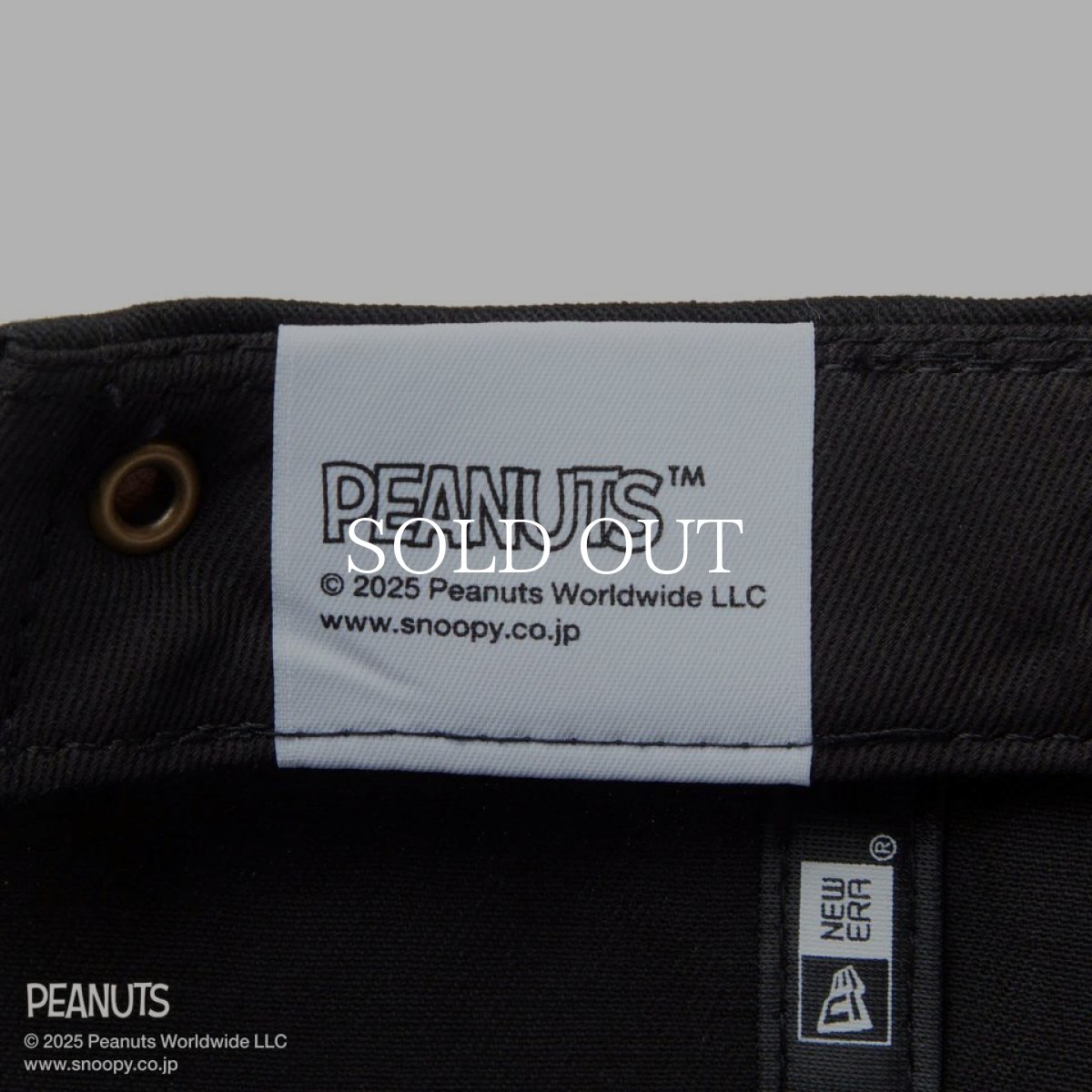 画像10: NEW ERA  RC 9FIFTY PEANUTS ピーナッツ スヌーピー ブラック (10)