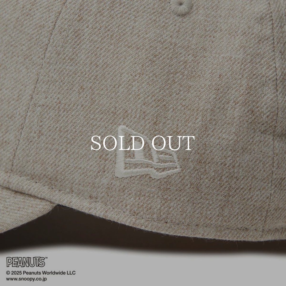 画像6: NEW ERA  9THIRTY PEANUTS ピーナッツ スヌーピー ヘザーグレー (6)