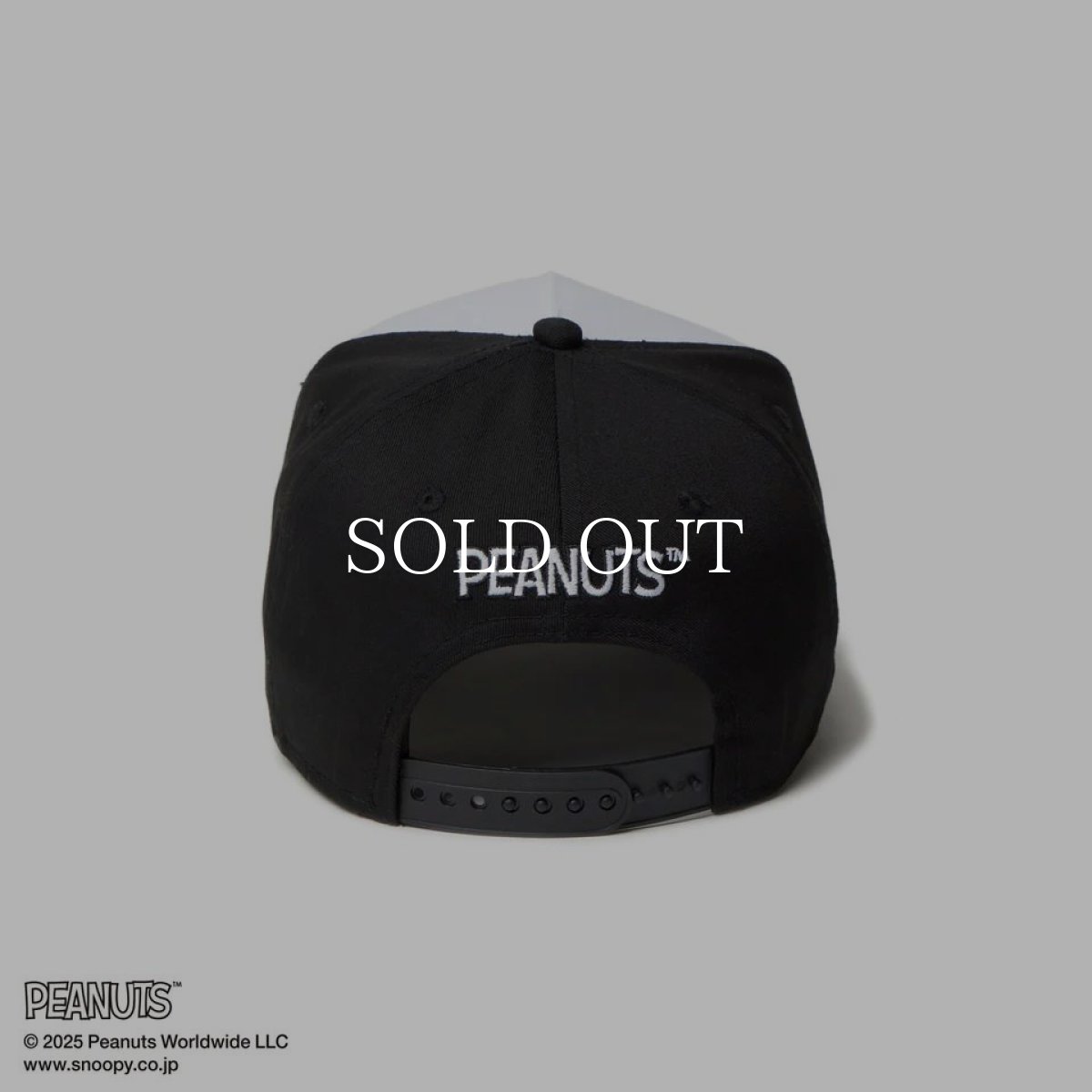 画像4: NEW ERA  9FORTY A-Frame PEANUTS ピーナッツ スヌーピー ホワイト/ブラック (4)