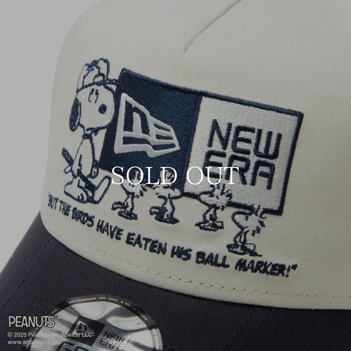 画像3: NEW ERA  【ゴルフ】 9FORTY A-Frame On Par PEANUTS ピーナッツ ボックスロゴ クローム ネイビーバイザー (3)
