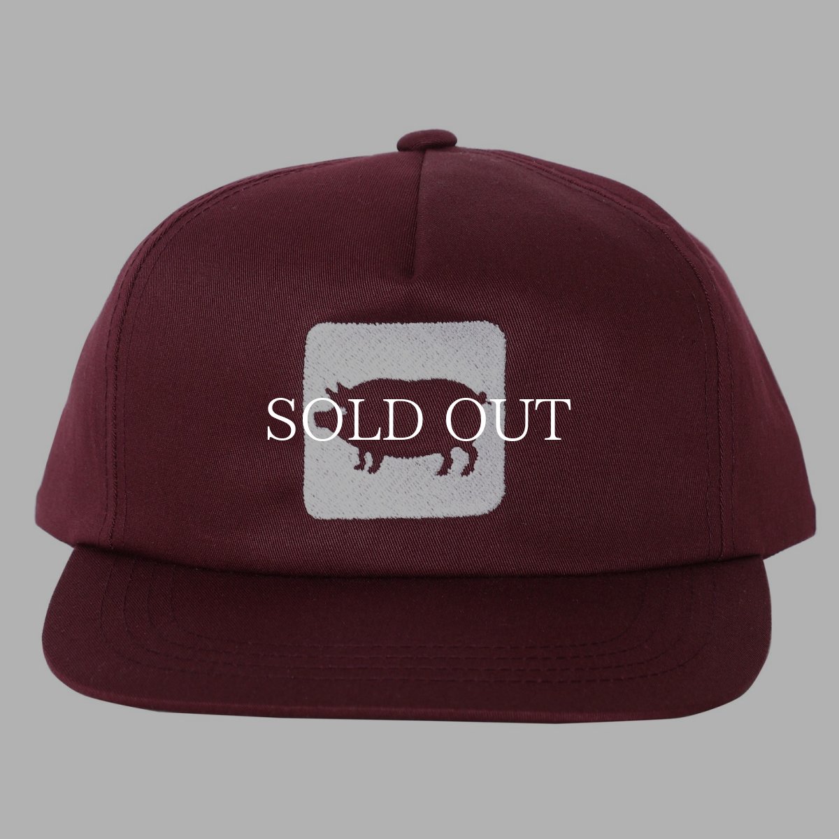 画像2: PORKCHOP GARAGE SUPPLY  CYOW COTTON CAP (2)