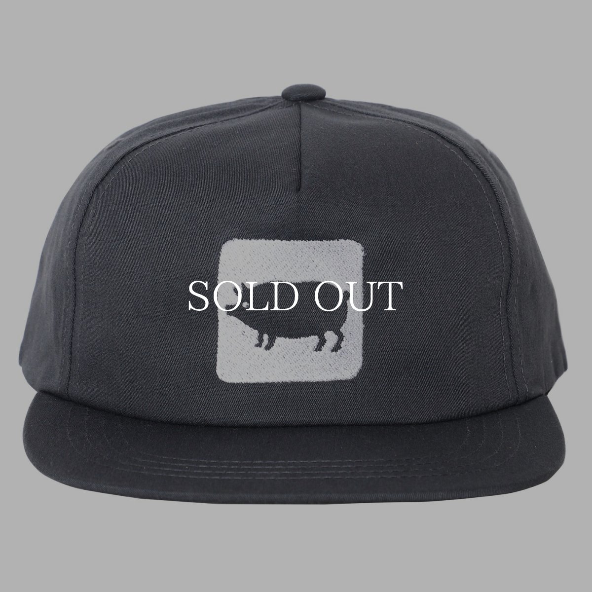 画像6: PORKCHOP GARAGE SUPPLY  CYOW COTTON CAP (6)