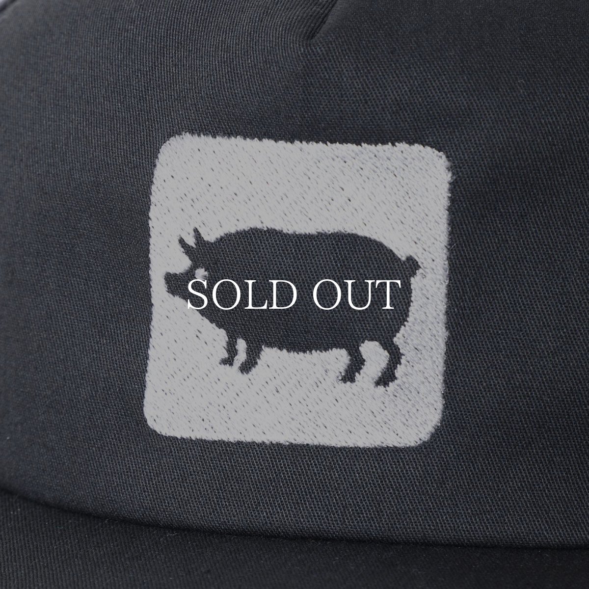 画像8: PORKCHOP GARAGE SUPPLY  CYOW COTTON CAP (8)