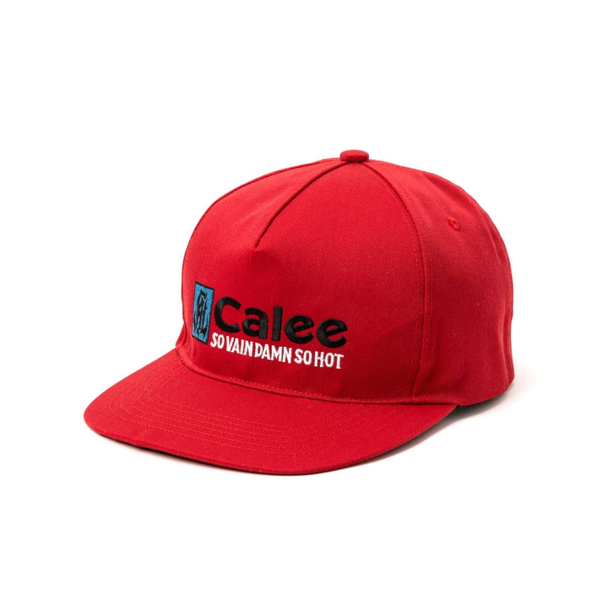 画像6: CALEE  CAL NT LOGO TWILL CAP <NATURALLY PAINT DESIGN> (6)