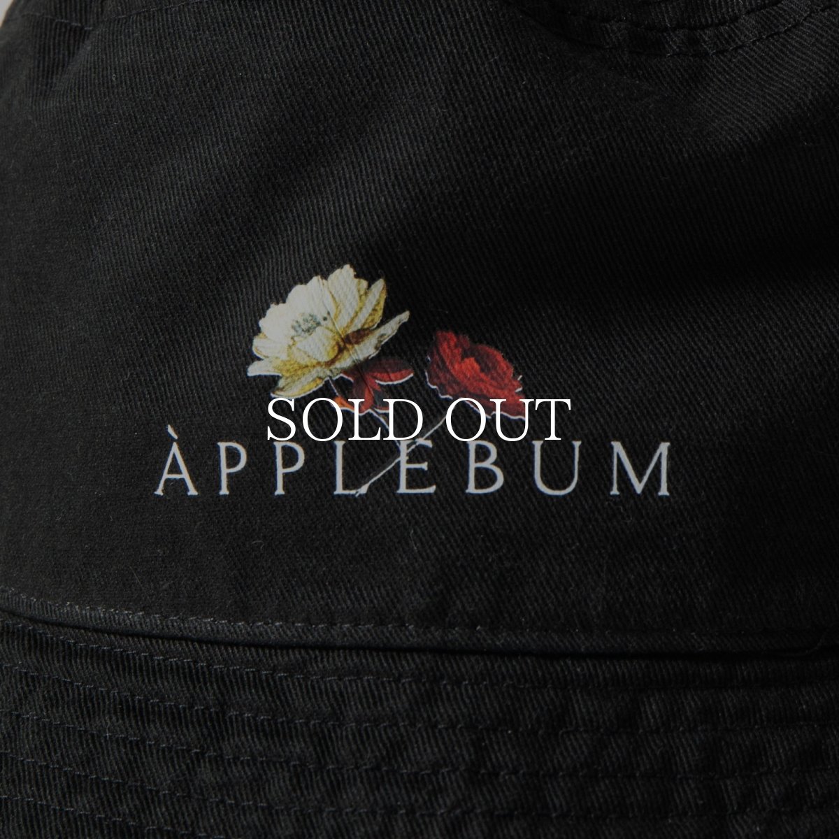 画像4: APPLEBUM  ”Utopia” Logo Hat (4)