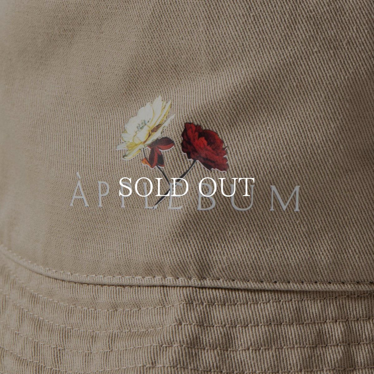 画像8: APPLEBUM  ”Utopia” Logo Hat (8)