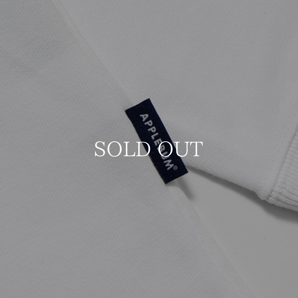 画像5: APPLEBUM “LOGO” L/S T-shirt (5)