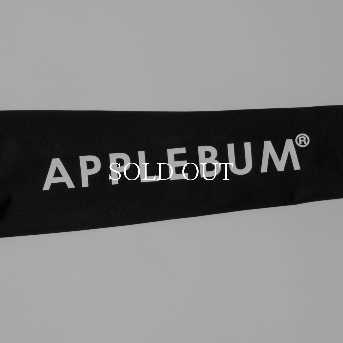 画像3: APPLEBUM Logo Arm Sleeve [Show & Prove] (3)