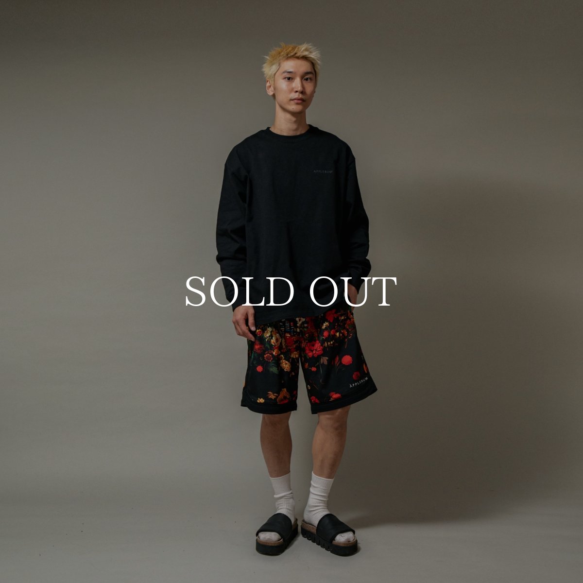 画像11: APPLEBUM “LOGO” L/S T-shirt (11)