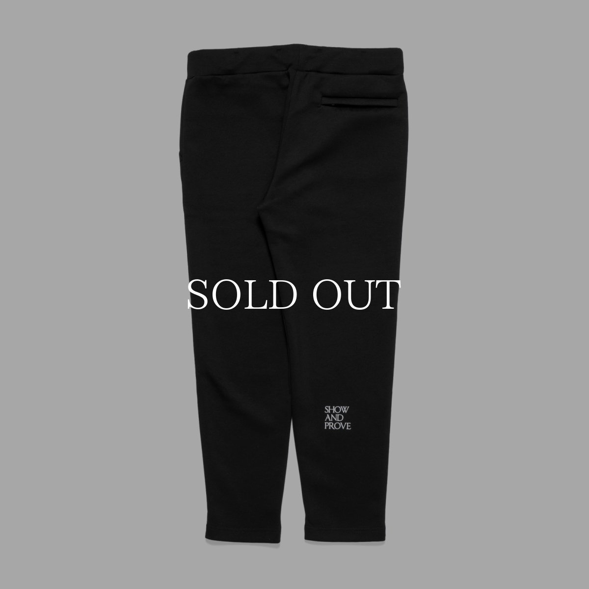 画像2: APPLEBUM  Double Knit Pants [Show & Prove] (2)