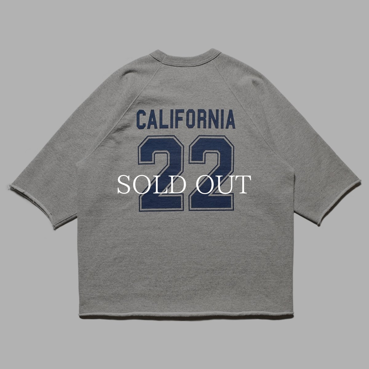 画像3: STANDARD CALIFORNIA  SD 22nd Anniversary US Cotton Baseball Logo Sweat (3)
