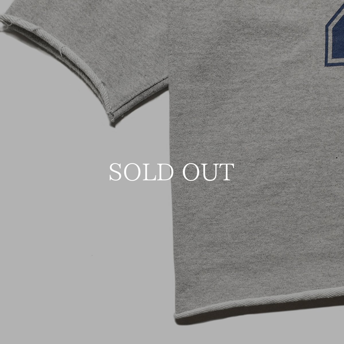 画像7: STANDARD CALIFORNIA  SD 22nd Anniversary US Cotton Baseball Logo Sweat (7)
