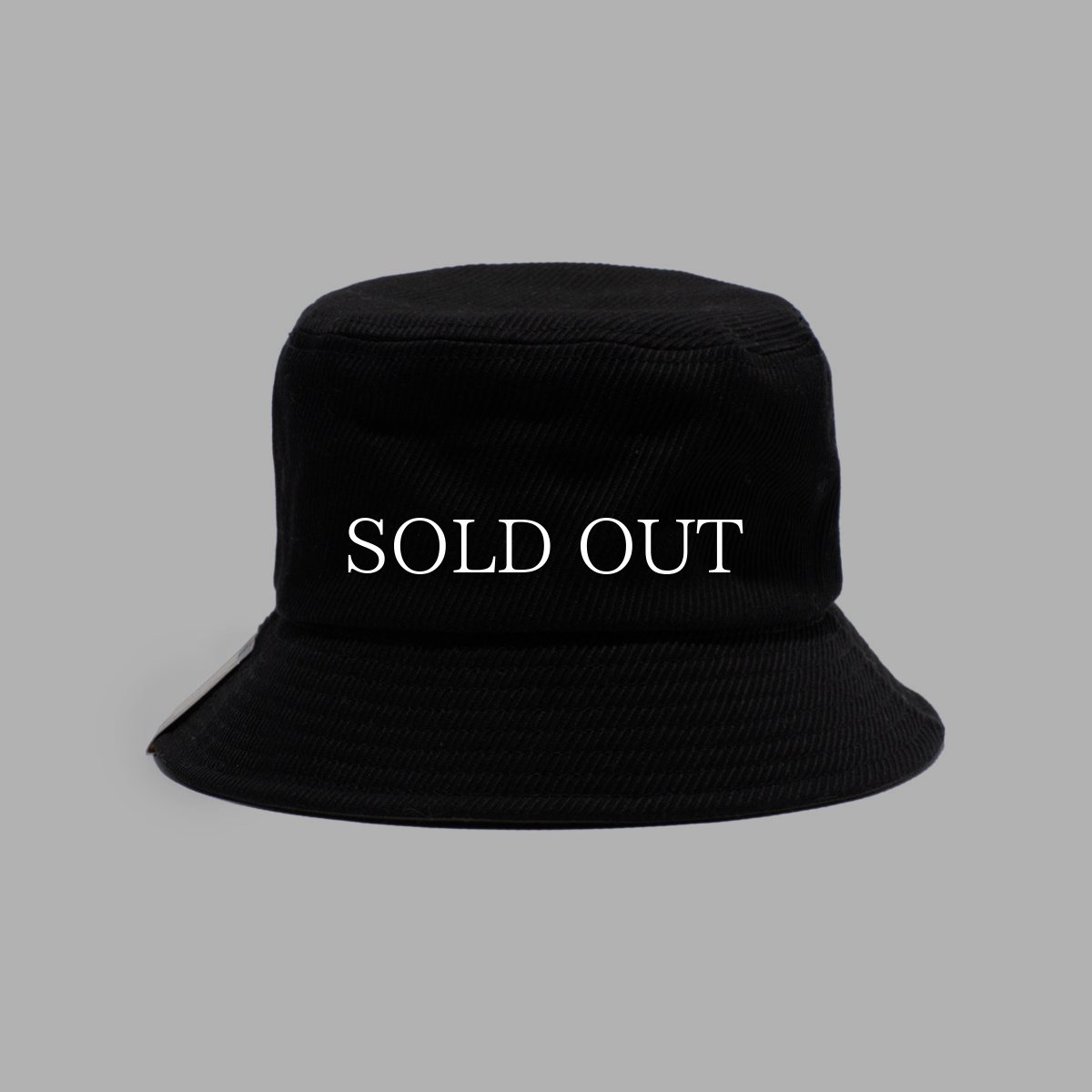 画像4: THE H.W.DOG&CO.  【再入荷】TRUCKER HAT  (4)