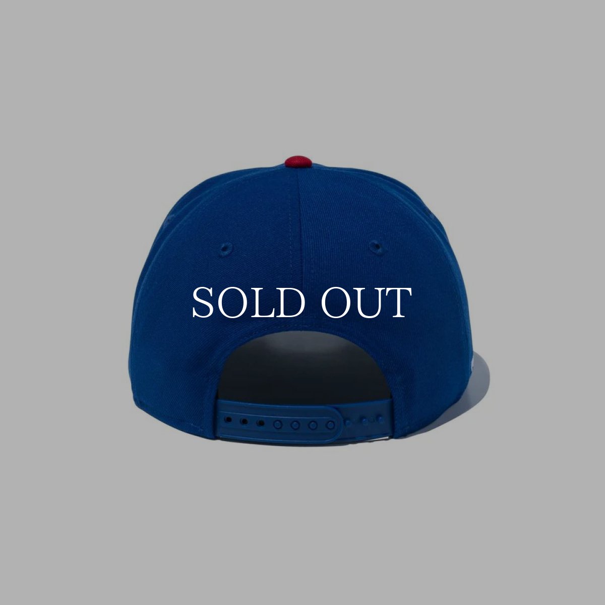 画像2: NEW ERA  9FIFTY MLB TOKYO SERIES 2025 シカゴ・カブス WORLD TOUR TOKYO 2025 サイドパッチ ライトロイヤル プリントバイザー (2)