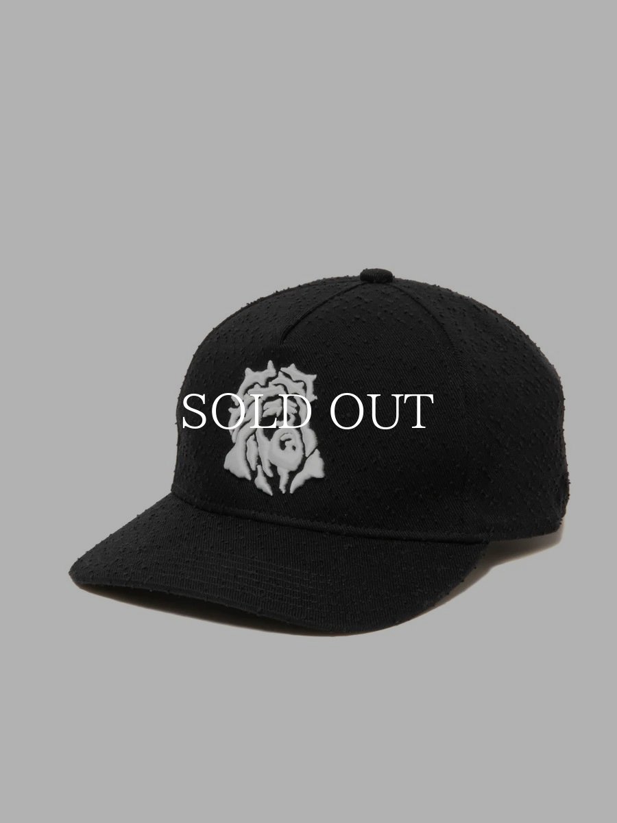 画像3: COOTIE   Needle Punch Twill 5 Panel Cap (3)