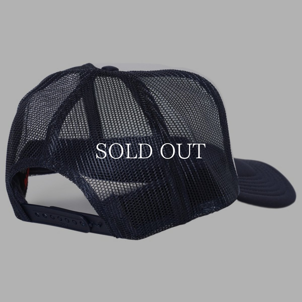 画像8: PORKCHOP GARAGE SUPPLY  C PORK MESH CAP (8)