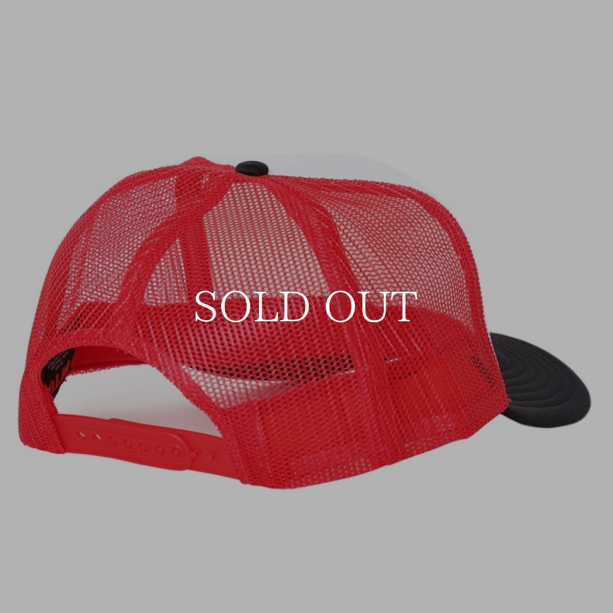 画像3: PORKCHOP GARAGE SUPPLY  C PORK MESH CAP (3)