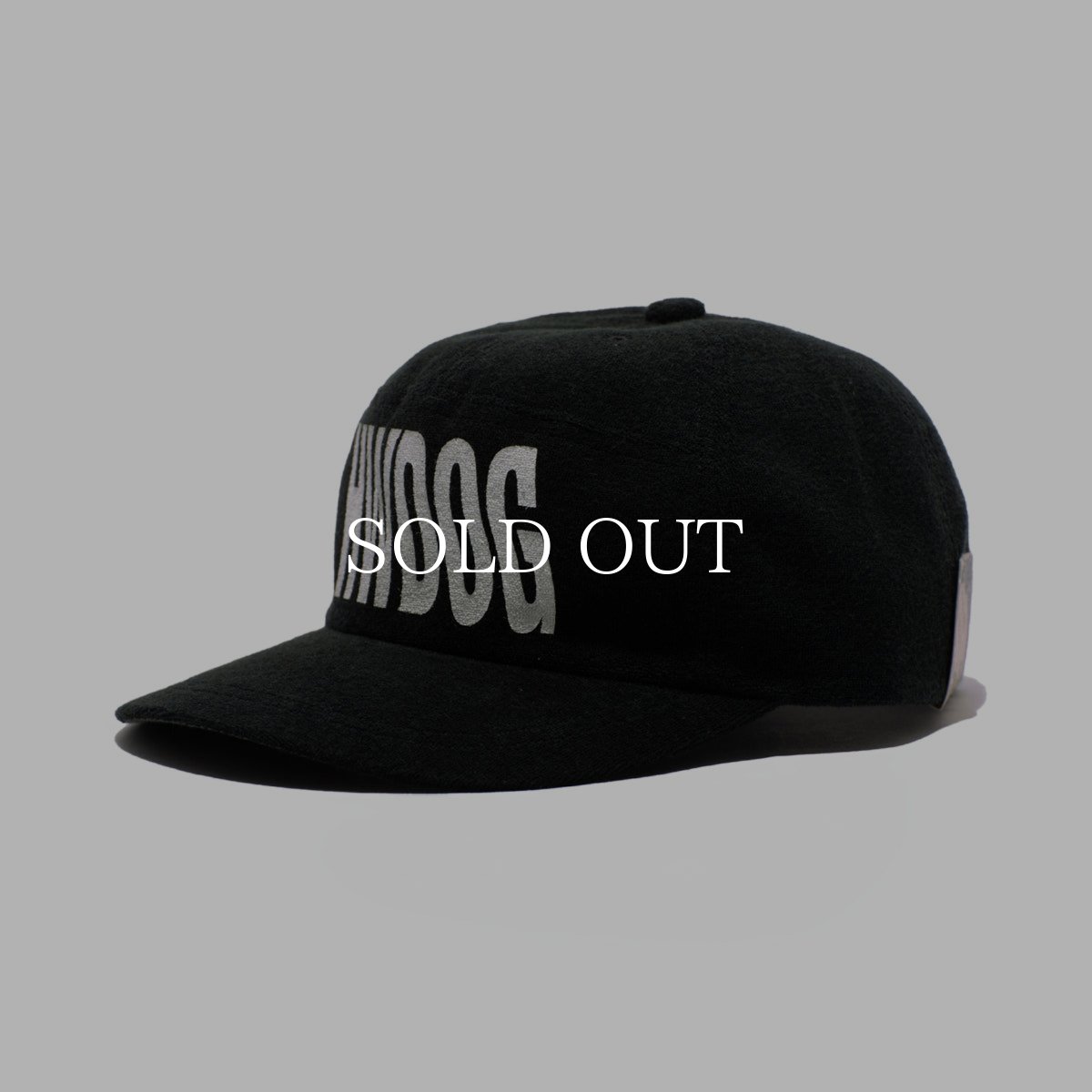 画像1: THE H.W.DOG&CO.  WAVY LOGO COMMERCIAL CAP (1)