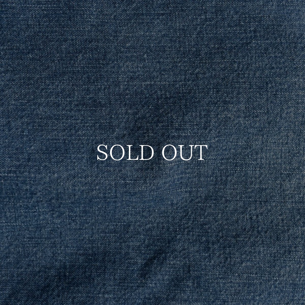 画像12: MINEDENIM  N.E.Wide Painter PS USD (12)