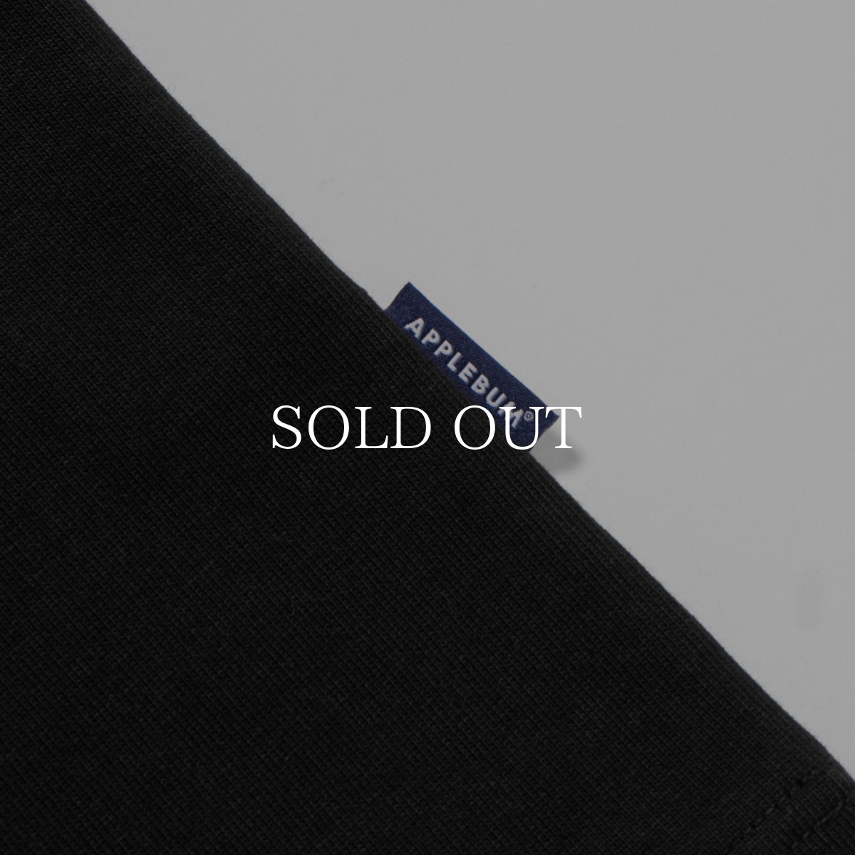 画像11: APPLEBUM  Ultra Heavyweight Blank T-shirt(12oz) (11)