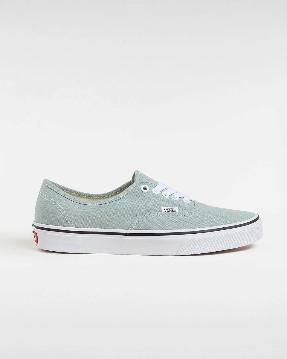 画像1: VANS  Authentic (1)