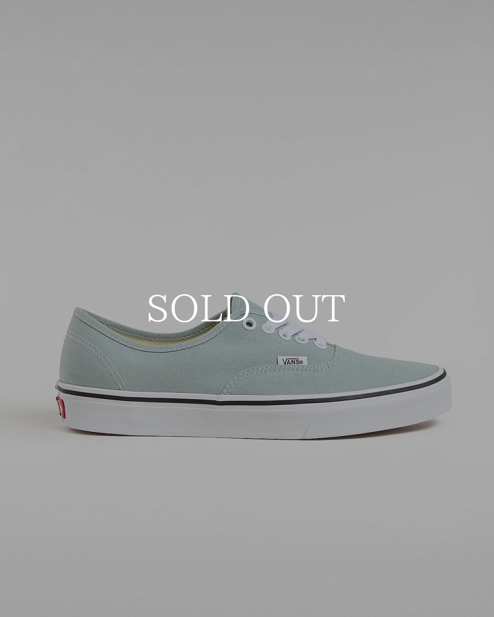 画像1: VANS  Authentic (1)