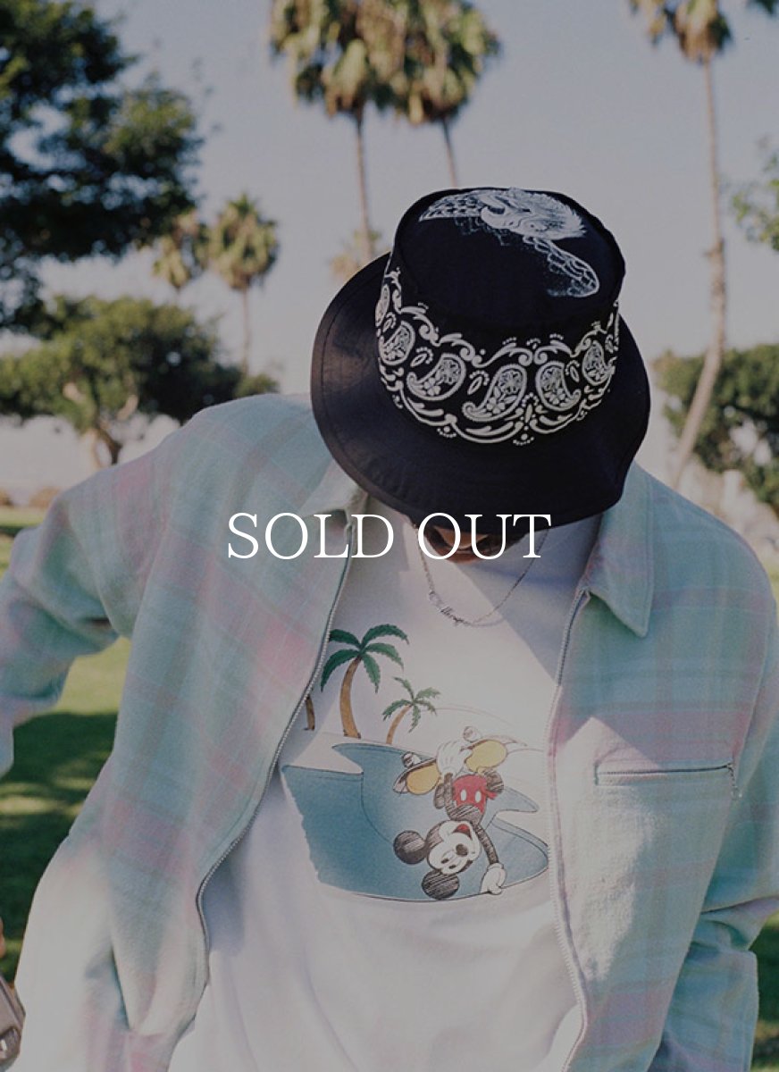 画像4: CHALLENGER  LOGO NECKLACE (4)