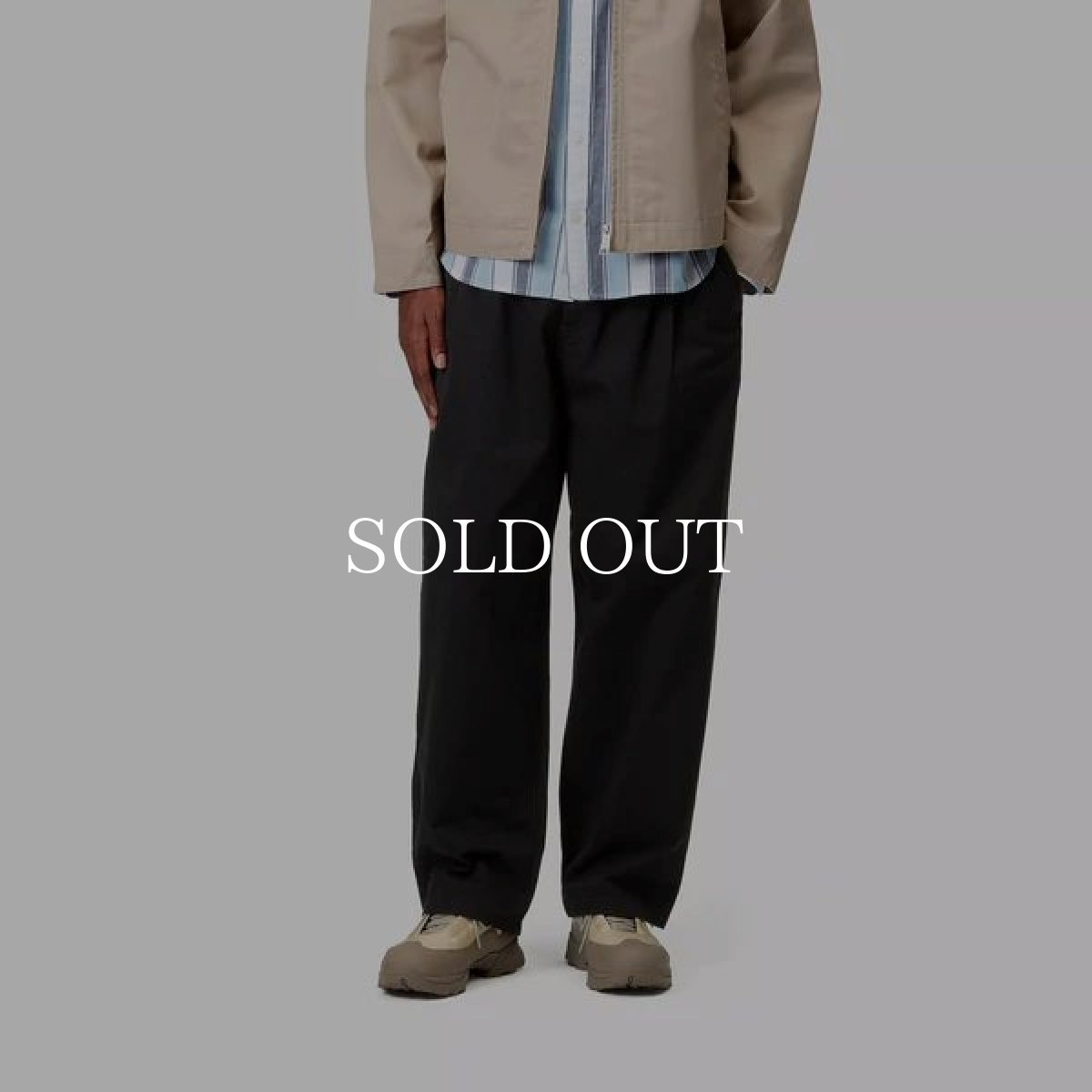 画像3: CARHARTT WIP   MARV PANT (3)